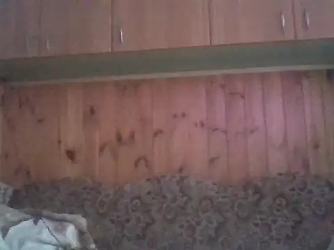 Maksymilian1 online show from 15, 2, 2026