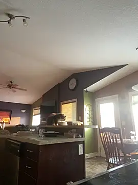 Snapshot of starsaligned chatting on 6, 1, 2026 starsaligned online show from 6, 1, 2026