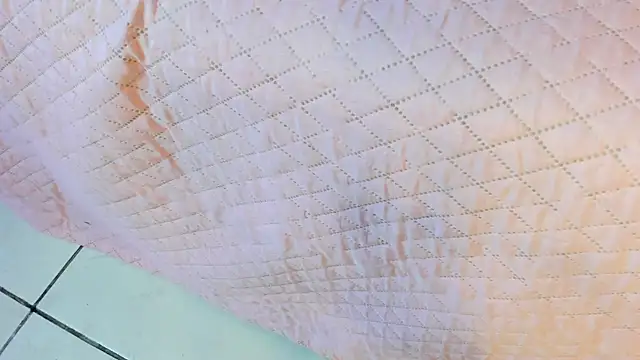  jasmine blush online show from 22, 3, 2026