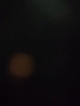 MyDick4You666 online show from 17, 1, 2026