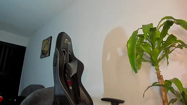 LoganTwink18 online show from 17, 12, 2025