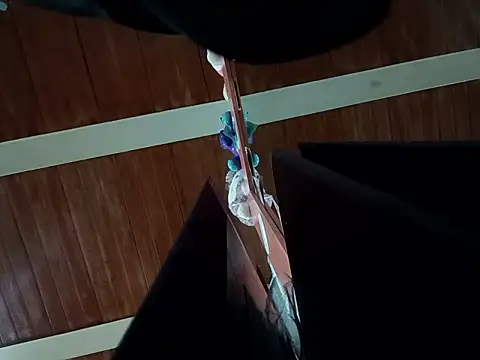 U-Upaaita online show from 17, 2, 2026