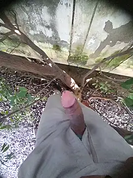 Desi Horny Boys online show from 13, 10, 2025