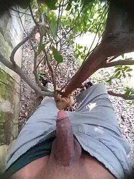 Desi Horny Boys online show from 22, 11, 2025