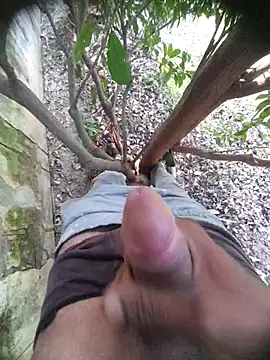 Desi Horny Boys online show from 21, 11, 2025