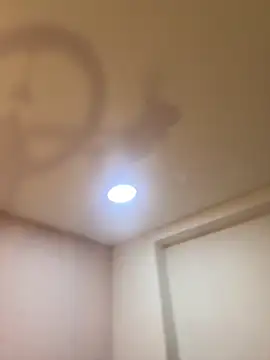 Bella  Wood online show from 21, 3, 2026