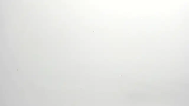 ximena vasquez8 online show from 17, 12, 2025