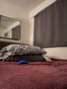 himNIGuys online show from 25, 11, 2025