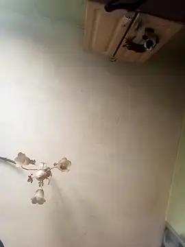 ToughDraft14 online show from 23, 4, 2026