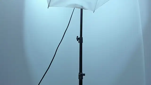 violet taylor  online show from 17, 12, 2025