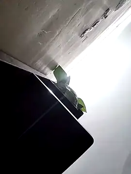 papukurty online show from 25, 3, 2026