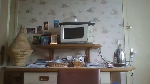 Snapshot of gegevincent chatting on 18, 1, 2026 gegevincent online show from 18, 1, 2026