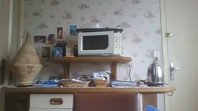 Snapshot of gegevincent chatting on 17, 2, 2026 gegevincent online show from 17, 2, 2026