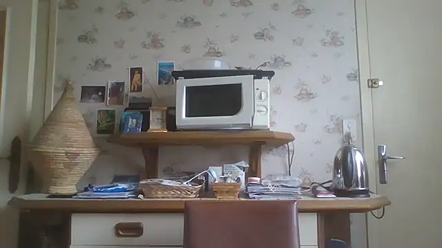 Snapshot of gegevincent chatting on 20, 2, 2026 gegevincent online show from 20, 2, 2026