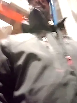 frenchblackc31 online show from 2, 12, 2025