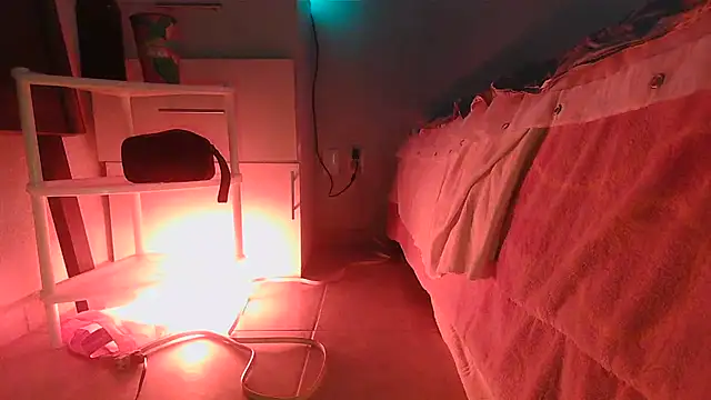 SatiroyNinfa online show from 30, 3, 2026