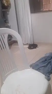 Urso Nerd online show from 14, 3, 2026