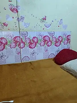 ranisanthutelugu online show from 17, 10, 2025