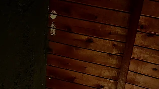 Taurito    online show from 28, 11, 2025