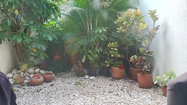 sharon greey online show from 11, 10, 2025