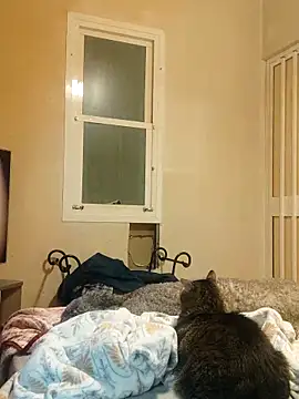 Pollagorda 34877 online show from 20, 12, 2025