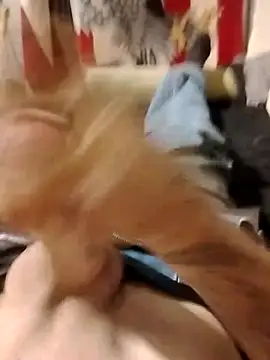 helldonk online show from 25, 4, 2026