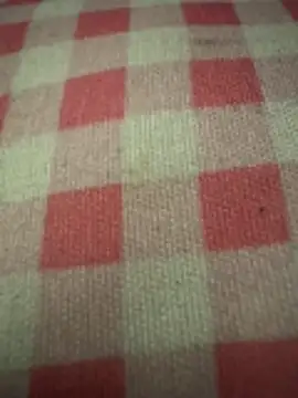 Snapshot of anonimgirl18old chatting on 29, 10, 2025 anonimgirl18old online show from 29, 10, 2025