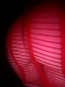 Hottiesophie online show from 24, 3, 2026