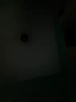 Villageanuty online show from 26, 2, 2026