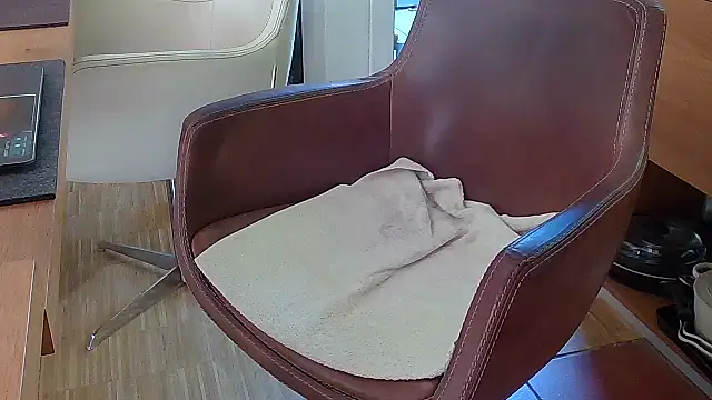 Unique X perience online show from 7, 10, 2025