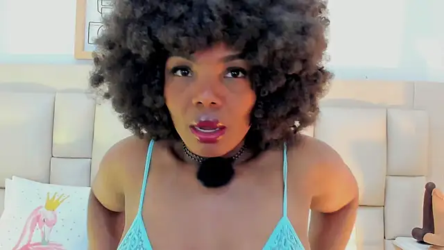 dakhota    online show from 6, 3, 2026