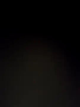 98bunny online show from 8, 11, 2025