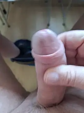 minnetird online show from 18, 2, 2026