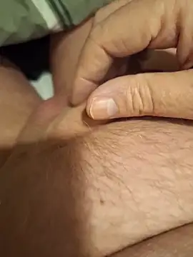 minnetird online show from 4, 4, 2026