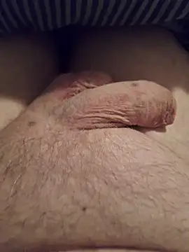 minnetird online show from 9, 2, 2026