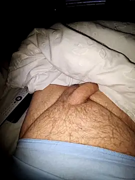 minnetird online show from 11, 10, 2025