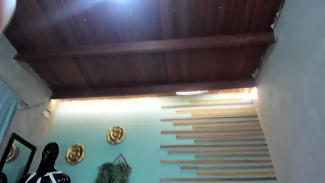 jharol cardonaa online show from 26, 11, 2025