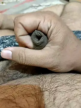 brownbear6 online show from 28, 11, 2025