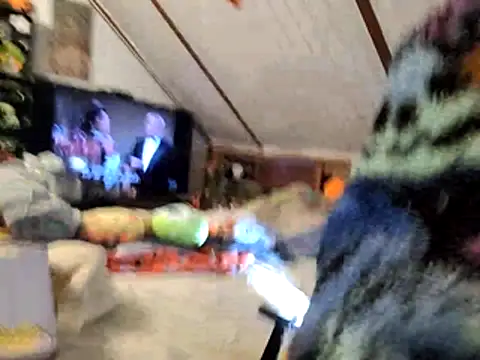 thejuicybacon online show from 25, 11, 2025