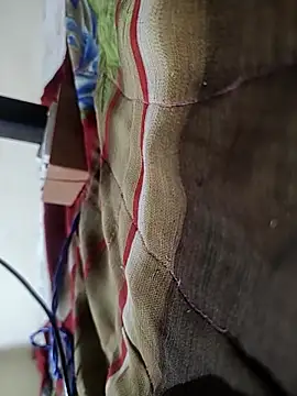 Telugu person12 online show from 16, 2, 2026