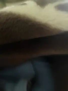 Telugu person12 online show from 15, 12, 2025