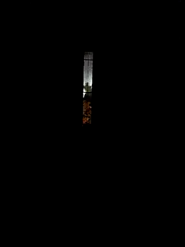 Snapshot of DonTorcuato chatting on 16, 10, 2025 DonTorcuato online show from 16, 10, 2025