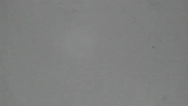 Sophia Ebony online show from 19, 2, 2026