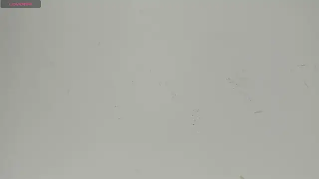 Sophia Ebony online show from 22, 6, 2026