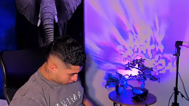 king falconer online show from 10, 11, 2025