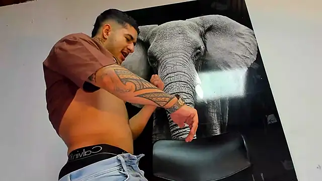 king falconer online show from 29, 10, 2025