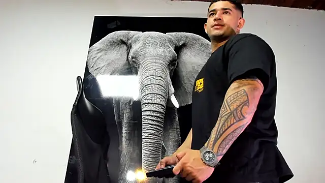 king falconer online show from 31, 10, 2025