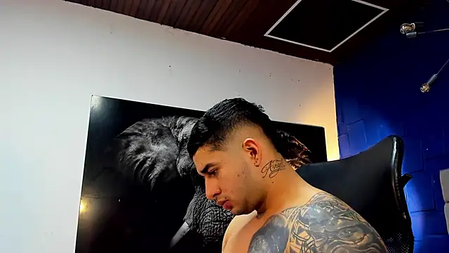 king falconer online show from 19, 11, 2025