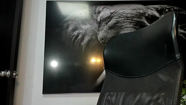 king falconer online show from 5, 12, 2025