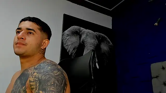 king falconer online show from 18, 11, 2025